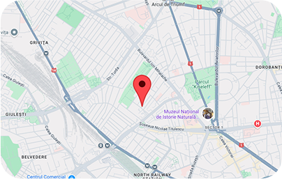 Integrare Google Maps